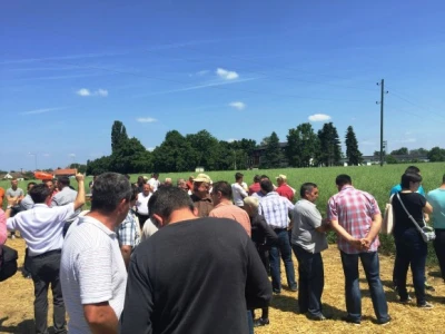 Centralni dan KWS sorti i hibrida pšenice, ječma, raži i uljane repice