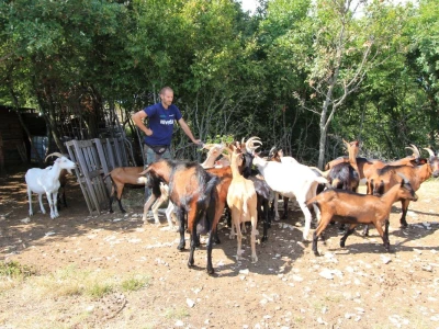 OPG Ivan Mofardin