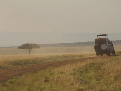 Maasai pleme