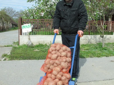Sa uzgajivačima krumpira u Velikim Zdencima