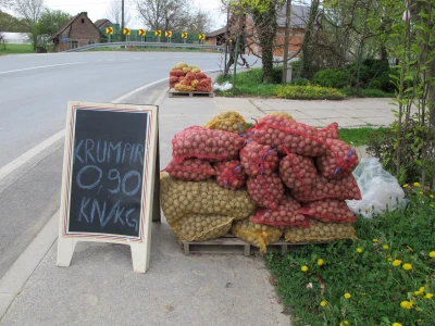 Sa uzgajivačima krumpira u Velikim Zdencima