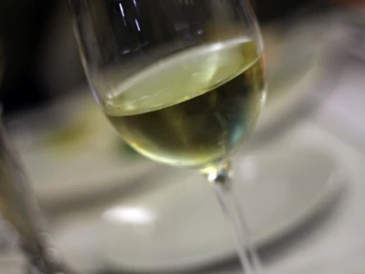 Predstavljena vina vinarije Gracin i Grgić vina