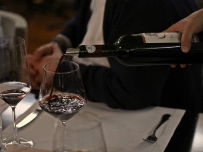 Predstavljena vina vinarije Gracin i Grgić vina