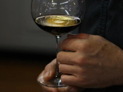 Degustacija vina