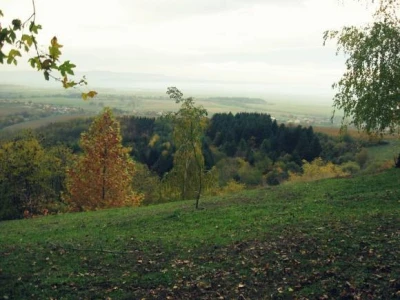 Jesen u Kutjevačkim vinogradima