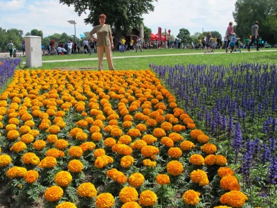 Osvrt na međunarodni Festival cvijeća  u Zagrebu 52. Floraart