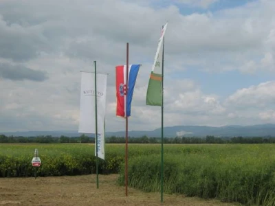 Pioneer dani polja