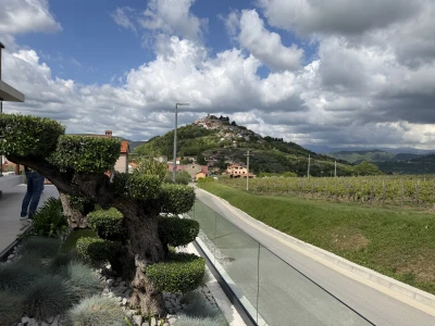 Vinarija Tomaz - Motovun
