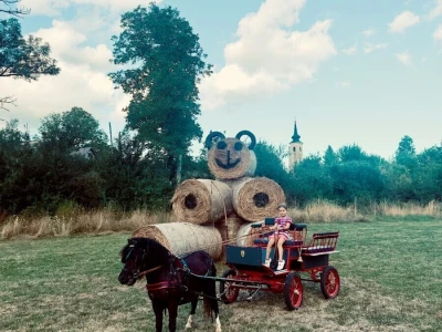 Život na selu