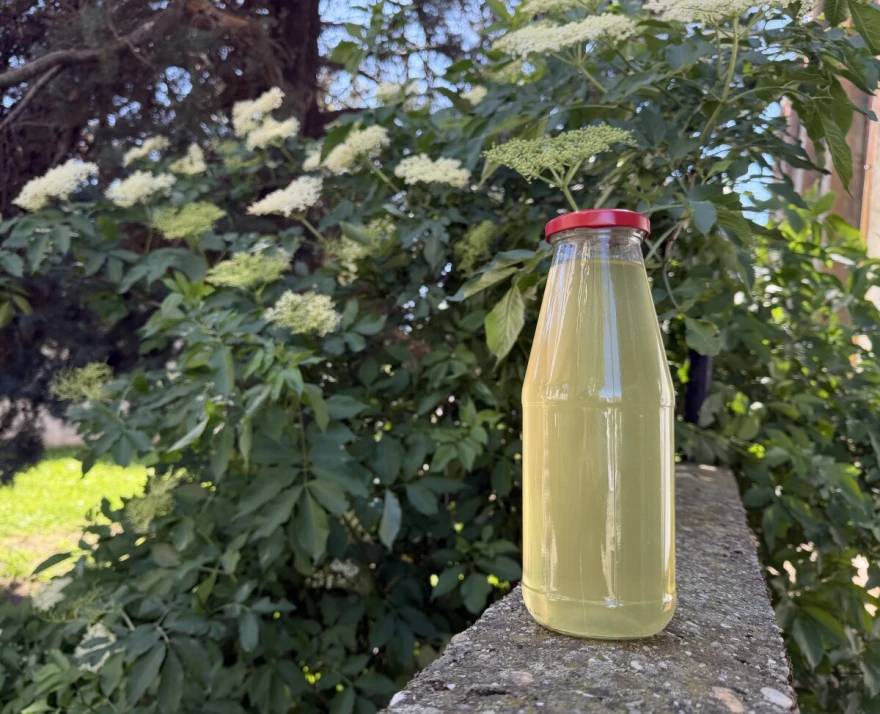 Sirup bazga