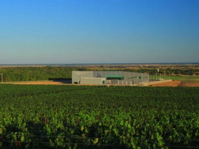 Vinarija Belje