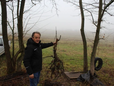 OPG Mladen Miličević