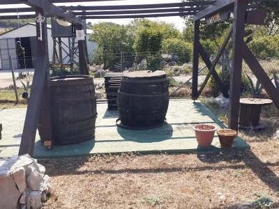 Immortelle farm - plantaža smilja