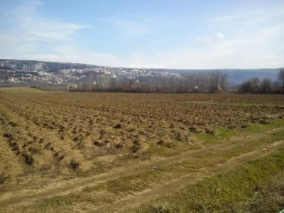 Imotsko polje