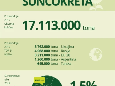 Suncokretovo ulje - infografika
