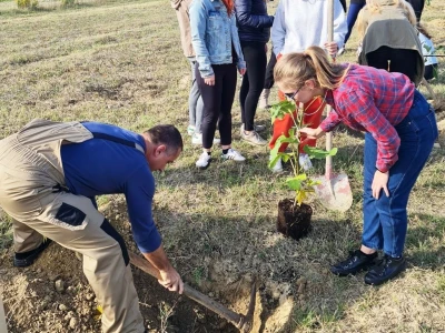 INOVATIVNA DOGAĐANJA NA OPG BUTIĆ - Ravni kotari - Zalog(aj) budućnosti