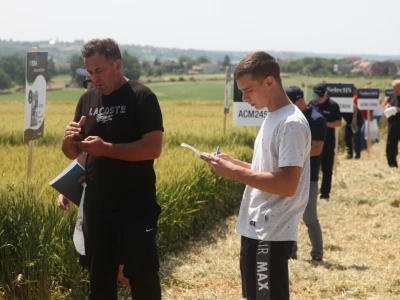 Inovativni program selekcije - pšenica i ječam