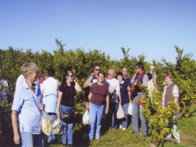 Inozemni turisti u berbi mandarina u dolini Neretve