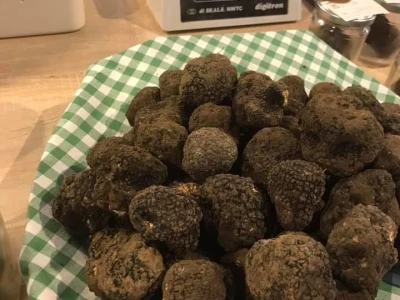Istarski bijeli tartuf
