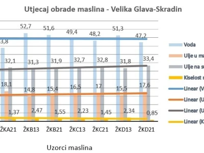 Istraživanje - mikorizacija maslina