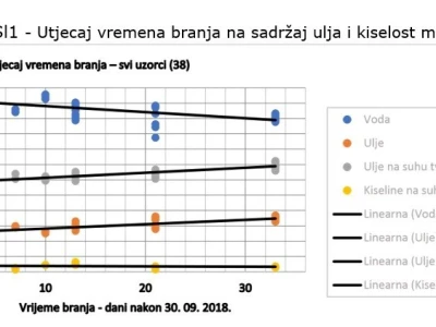 Istraživanje - mikorizacija maslina