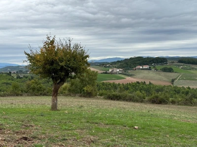 Italija 2024