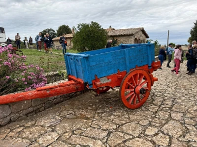 Italija 2024