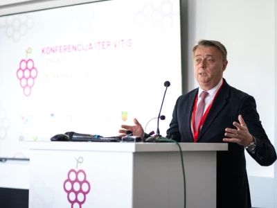 Iter Vitis – Vinski krug baštine i turizma