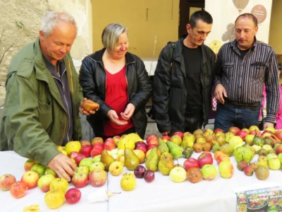 Ivica Kadić, čuvar starih sorti voća