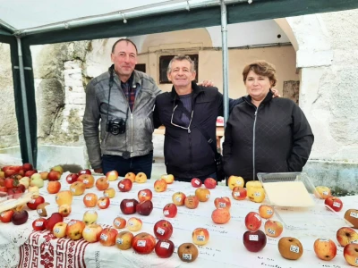 Ivica Kadić, čuvar starih sorti voća