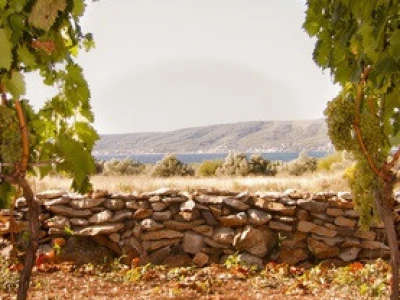 Izvor fotografije: Ivica Milan WEB arhiva
