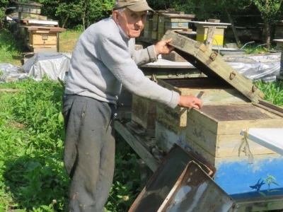 IVO BANOVČIĆ IZ DAVORA, ČOVJEK SA 81 GODINOM PČELARSKOG STAŽA