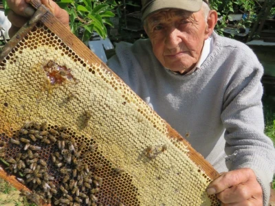 IVO BANOVČIĆ IZ DAVORA, ČOVJEK SA 81 GODINOM PČELARSKOG STAŽA