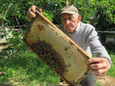 IVO BANOVČIĆ IZ DAVORA, ČOVJEK SA 81 GODINOM PČELARSKOG STAŽA