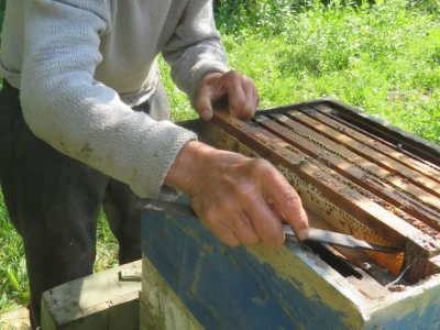 IVO BANOVČIĆ IZ DAVORA, ČOVJEK SA 81 GODINOM PČELARSKOG STAŽA