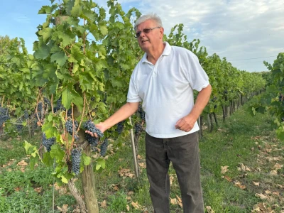 Vinarija Brzica i Hotel Vinotel