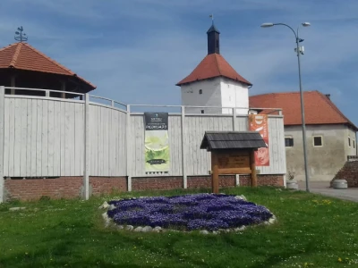 Đurđevačke deve