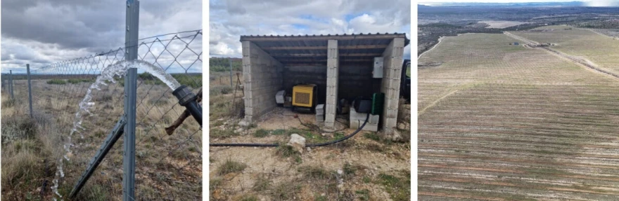 Navodnjavanje badema