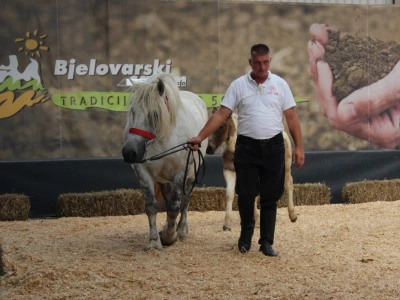 Izložba stoke na sajmu u Gudovcu