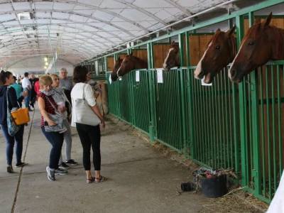 Izložba stoke na sajmu u Gudovcu