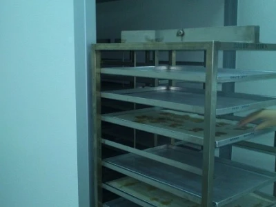 Proces pravljenja čipsa