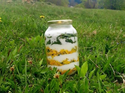 Izrada prirodne kozmetike