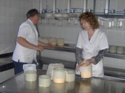 Izrada sireva