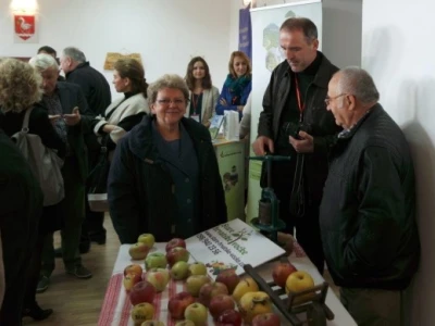 Izložba jabuka u Sv. Martinu na Muri