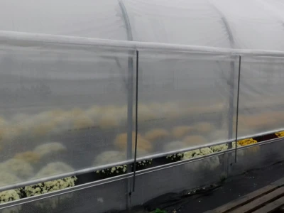 Proizvode na 3000 m2 zatvorenog prostora