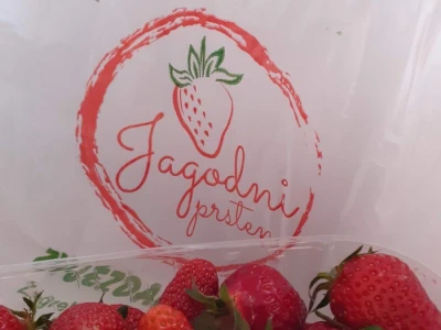 Jagodar-HB