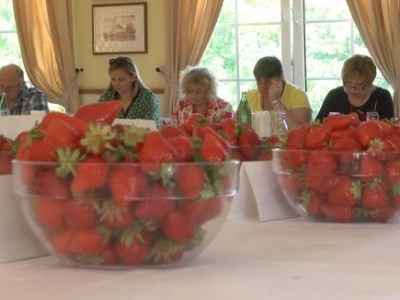 Sladak posao