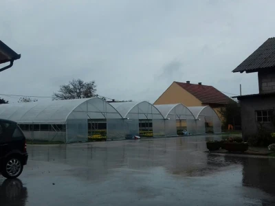 Jagodići imaju pet plastenika