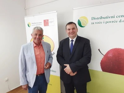 Jagodičasto voće