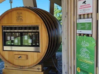 Jaka tuča uništila je urod u vinogradima Davida Štampara na Mađerkinom bregu